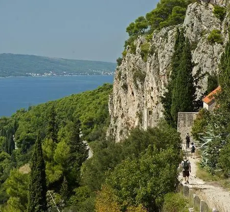 Old Town Tone * Сплит